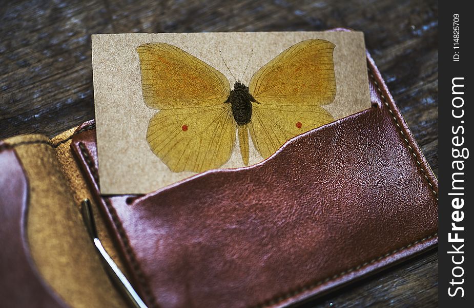 Brown Leather Card Wallet