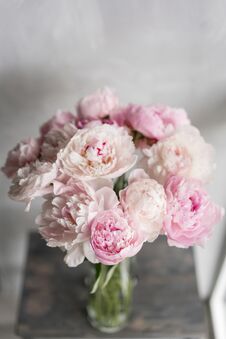 Cute And Lovely Peony. Many Layered Petals. Bunch Pale Pink Peonies Flowers Light Gray Background. Wallpaper, Vertical Stock Photography Cute And Lovely Peony. Many Layered Petals. Bunch Pale Pink Peonies Flowers Light Gray Background. Wallpaper, Vertical Stock Photography