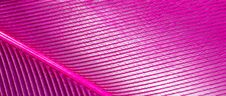 Pink Feather As An Abstract Background Royalty Free Stock Photo