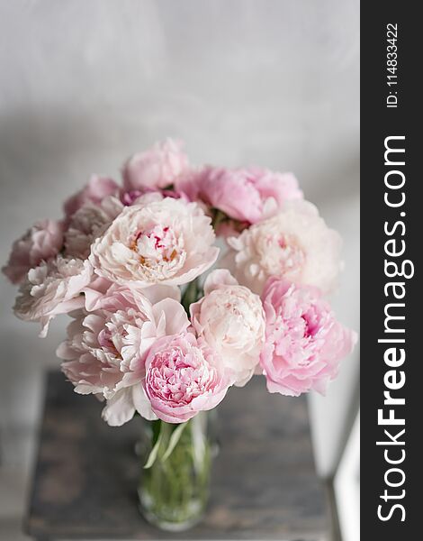 Cute and lovely peony. many layered petals. Bunch pale pink peonies flowers light gray background. Wallpaper, Vertical
