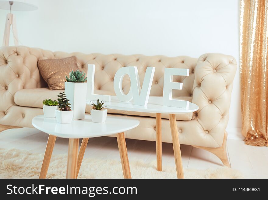Living room, sofa, love inscription cactus on the table. modern interior design concept