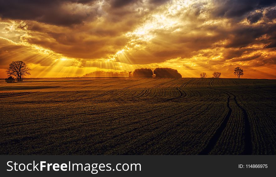 Sky, Horizon, Field, Ecosystem