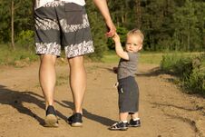 Father And Son Walking In The Forest On Summer Day. Little Child Holding Hand Of A Man. Back View Stock Image