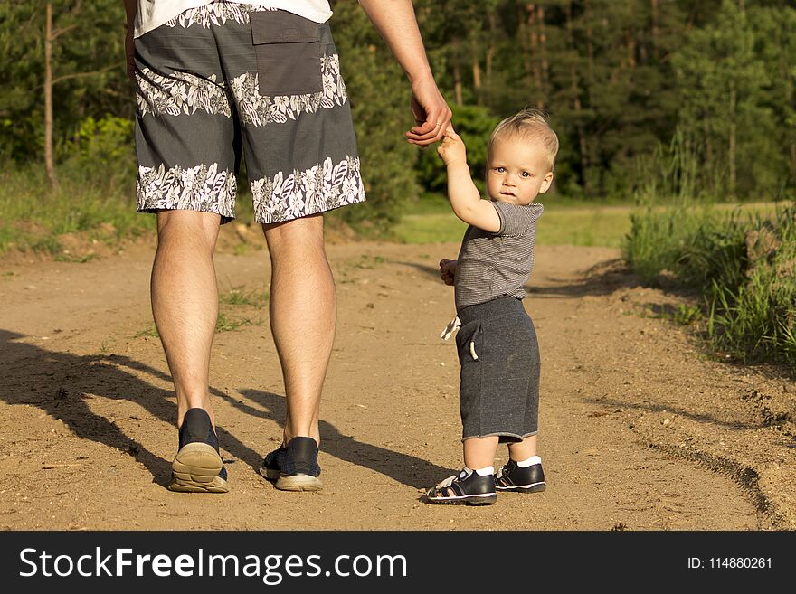 Father and son walking in the forest on summer day. Little child holding hand of a man. Back view.