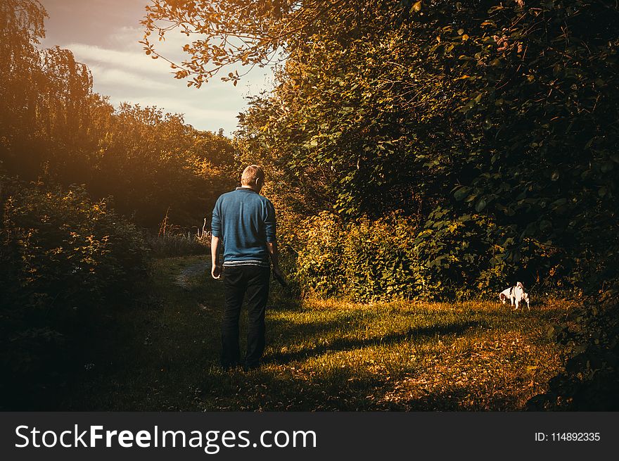 Man Wearing Blue Jacket Looking Dog Peeing