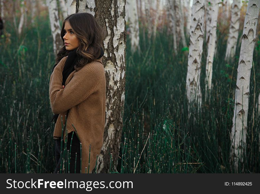 Woman Wearing Brown Sweater Standing on Woods Surrounded by Grass