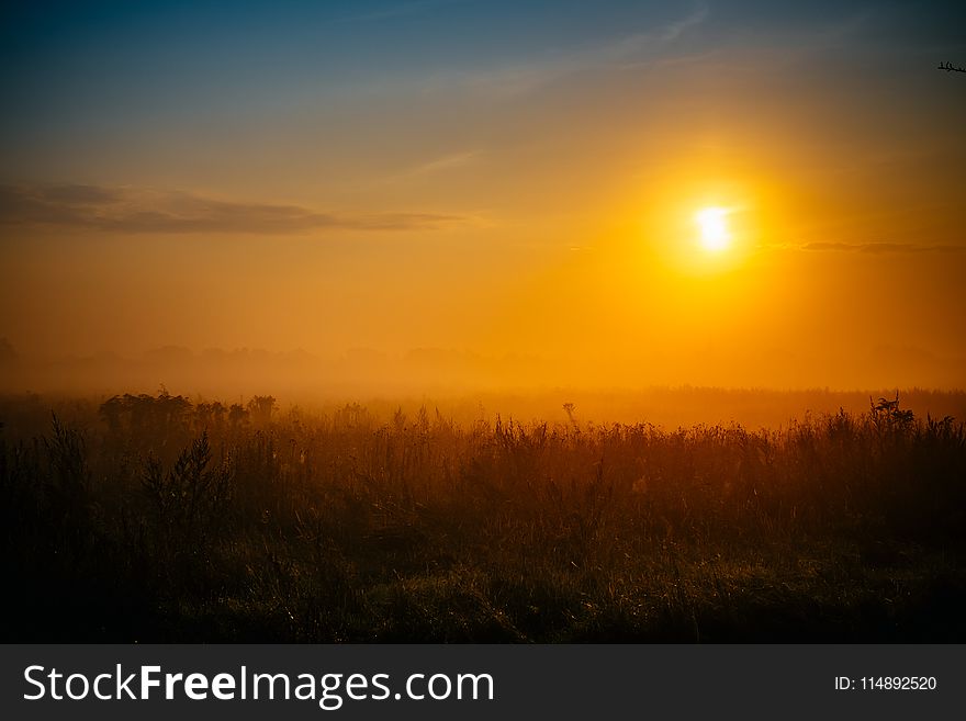Silhouette Photography of Grass Field