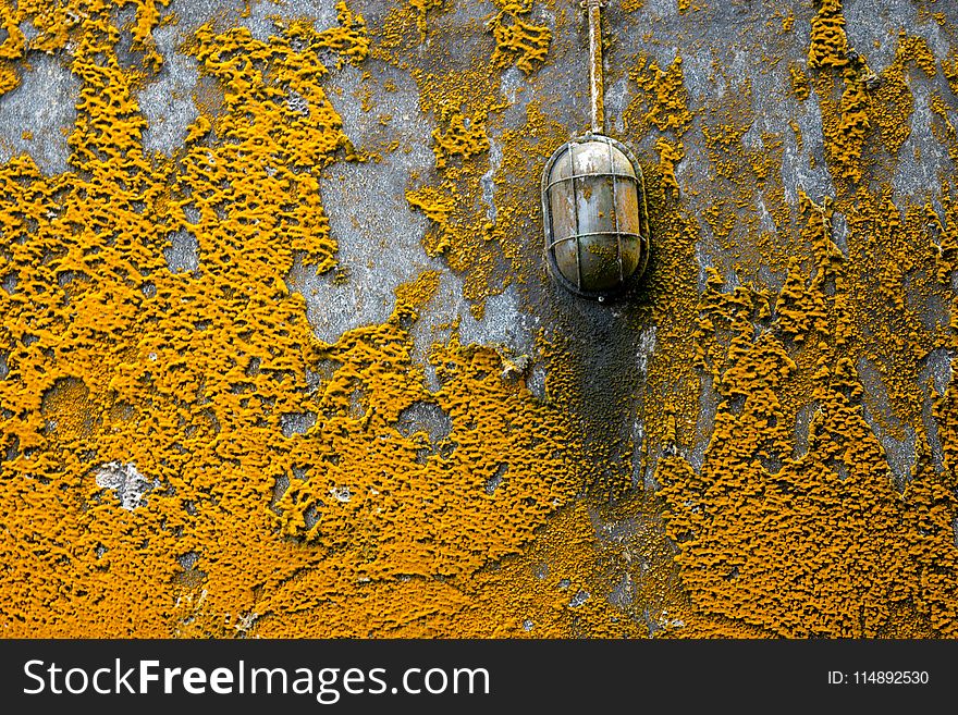 Concrete Pavement With Orange Molds
