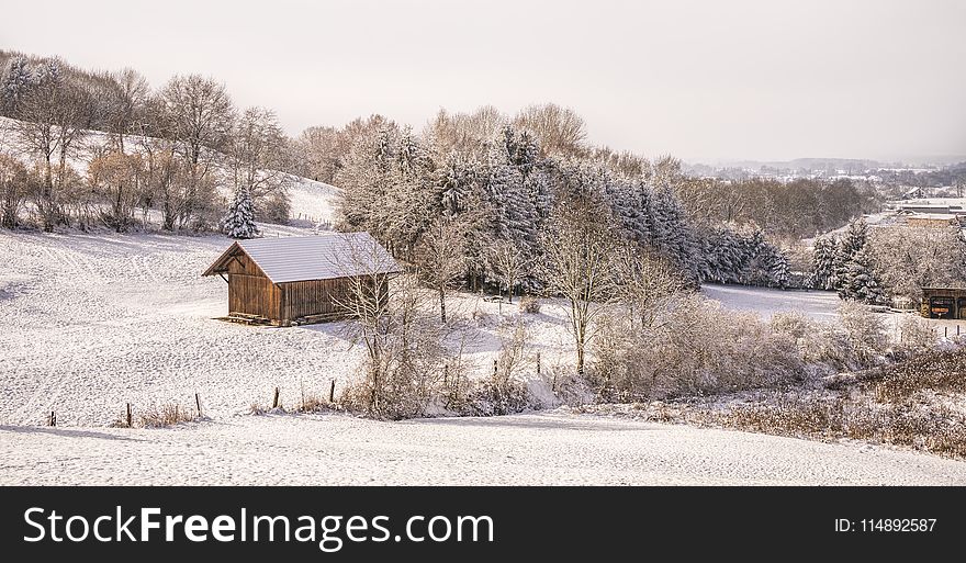 Snow Covered Trees Under Cloudy Sky