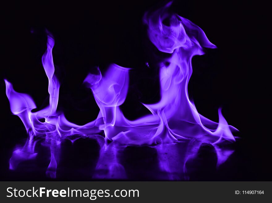 Beautiful fire purple flames on a black background. Beautiful fire purple flames on a black background.