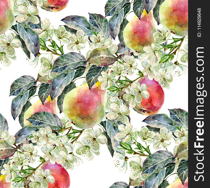 Watercolor pear with flowers. Floral seamless pattern. White background.