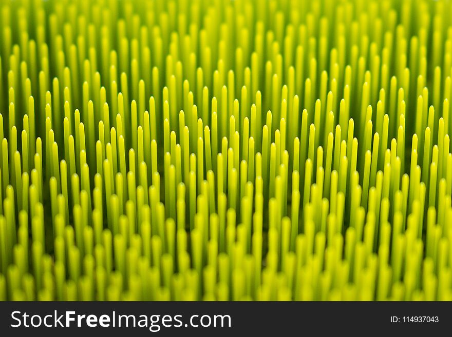 Macro abstract green background texture