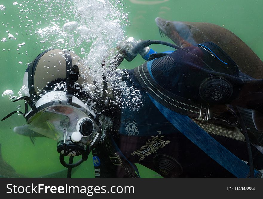 Person in Black and Blue Wetsuit Doing Scuba Diving
