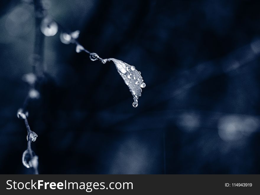 Photo of Water Droplet