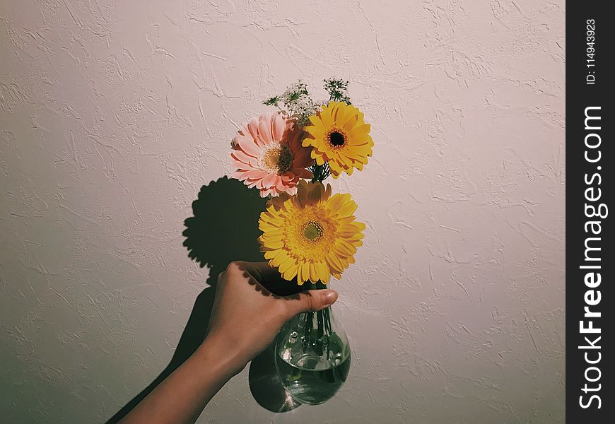 Person Holding Clear Glass Vase With Flowers