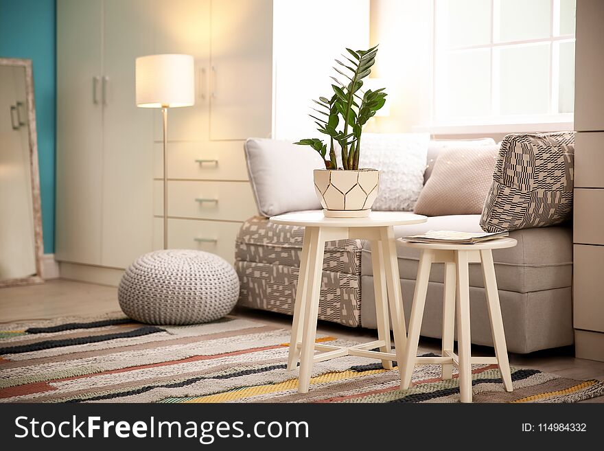 Stylish living room interior