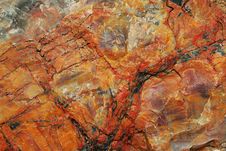Petrified Wood Stock Photos Petrified Wood Stock Photos