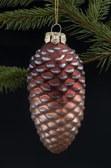 Pinecone Stock Image Pinecone Stock Image