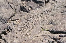 Lava Royalty Free Stock Photos Lava Royalty Free Stock Photos