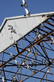 Rusted Shipyard, Birds In Flight Royalty Free Stock Photography