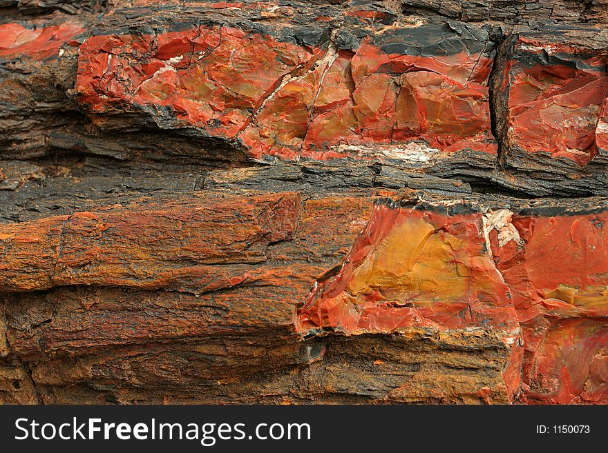 Petrified wood, Petrified Forest National Park