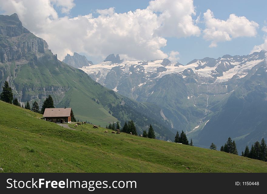 High in the swiss alps. High in the swiss alps