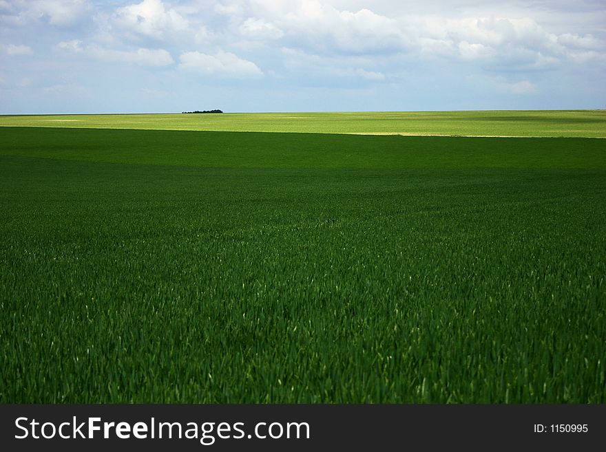 Green field and cloudy sky