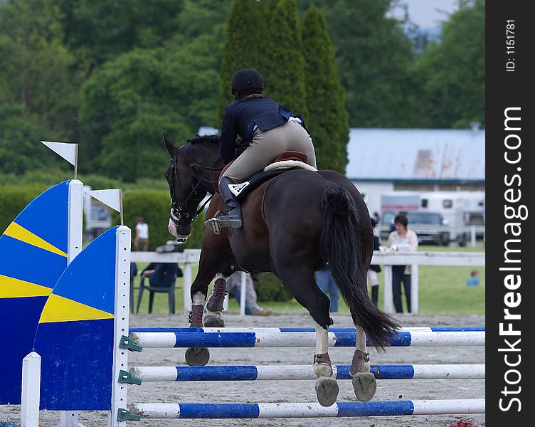 Horse and rider clearing jump in local showjumping competition