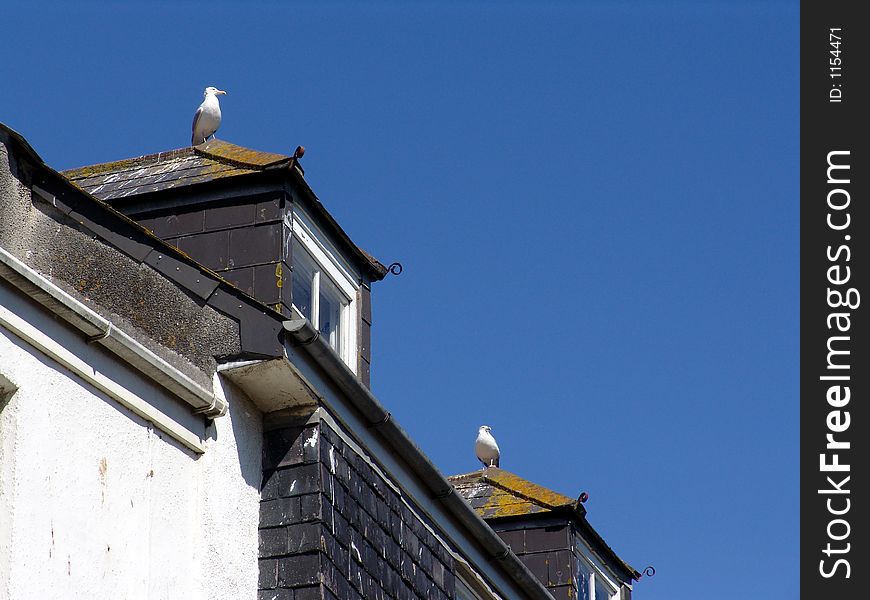 Seagulls perched on roof gables in fishing village. Seagulls perched on roof gables in fishing village