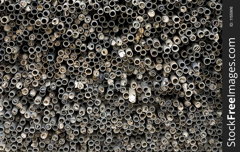 Pile of sticks used for oyster farming