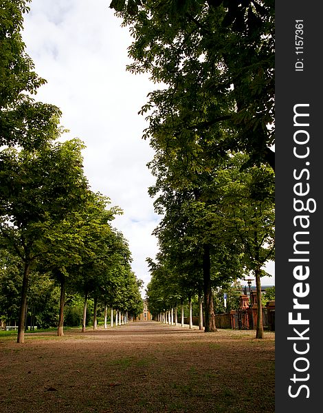 Empty tree park in Germany. Empty tree park in Germany