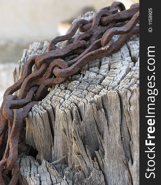 A rotten chain on a tree trunk