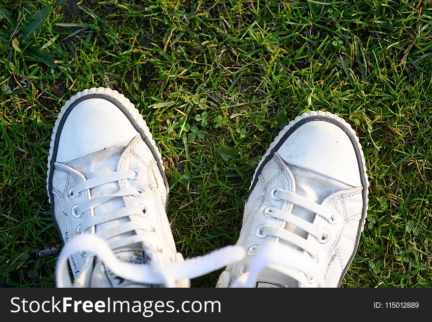 Pair of White Lace-up Sneakers on Top Green Grass