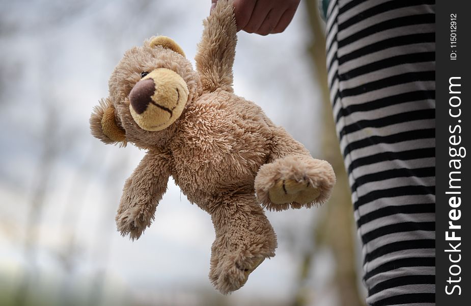 Closeup Photography of Brown Teddy Bear