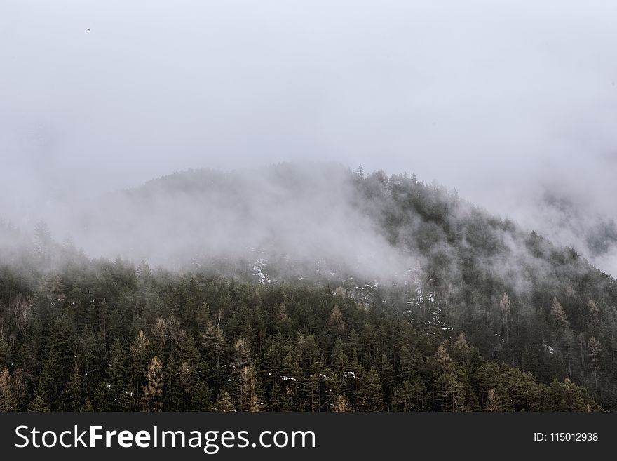 View of Green Mountain Covered by Fog