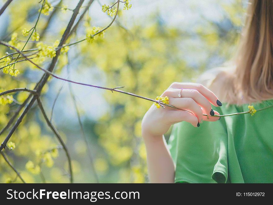 Closeup Photography of Woman Wearing Green Top Holding Leaf
