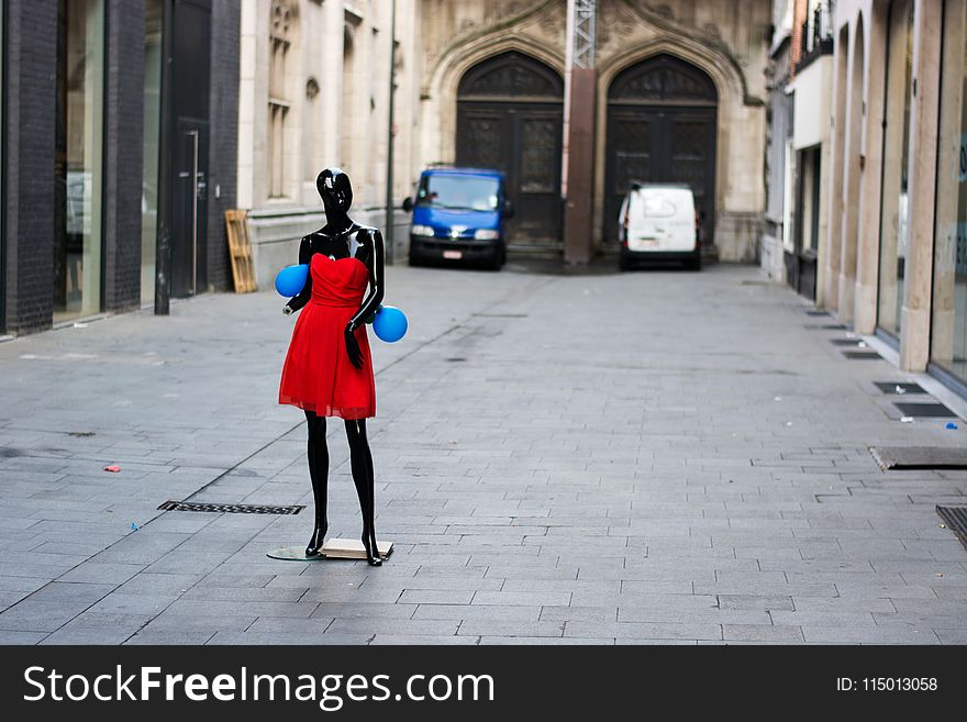 Black Mannequin