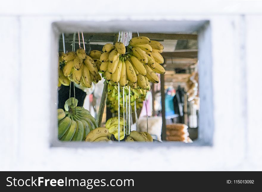Bunch of Hanged Bananas
