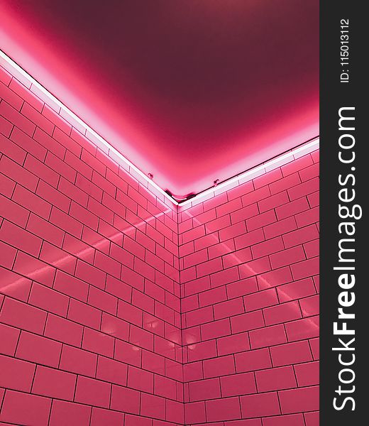 Pink Light Fixture