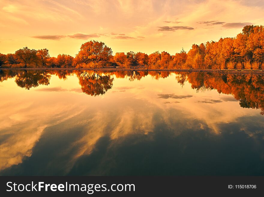 Peaceful Lake Under Sunset