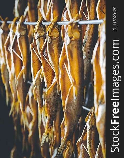 Fish Seafood Factory