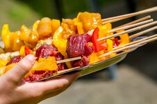 Raw Chicken And Beef Skewers Resting On A Tray With A Green Background Stock Image