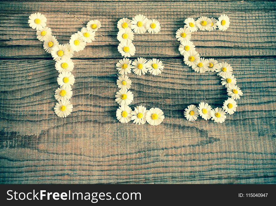 Yes Wrote With Daisies On Wooden Background