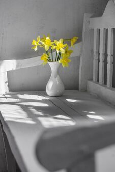 Yellow Spring Flowers On Wooden Bench Royalty Free Stock Photo