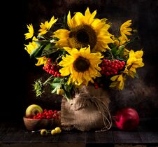 Still Life Bouquet Of Sunflowers In A Vase, Stock Images