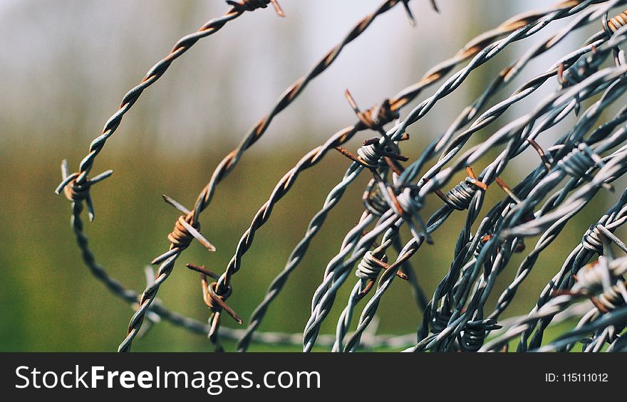 Close-Up Photography of Barbed Wire