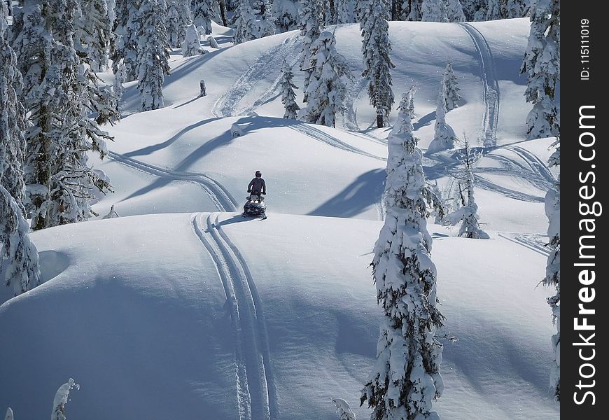 Person Riding Snowmobile Near Green Trees Covered With Snow at Daytime