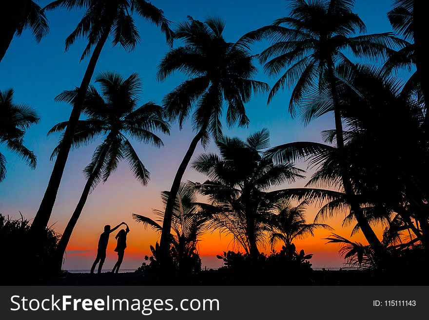 Silhouette Photography Of Man And Woman Beside Trees During Sunset