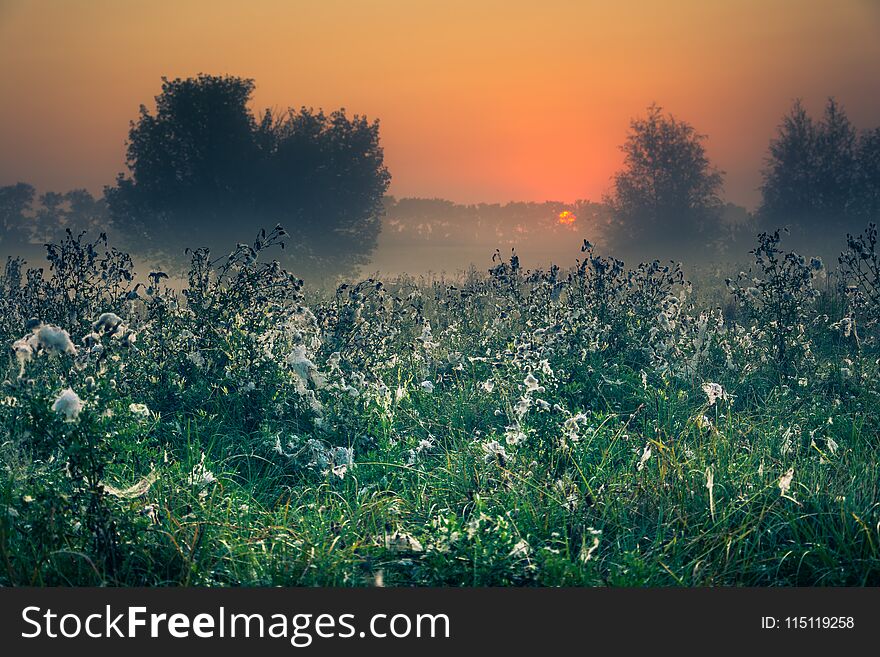 Just a photo of faded nature in late summer and autumn