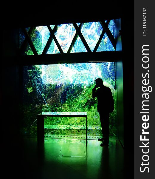 Man talking on the phone under truss and next to green glass facade with plants impressions. Photo taken at a museum in Paris. Man talking on the phone under truss and next to green glass facade with plants impressions. Photo taken at a museum in Paris